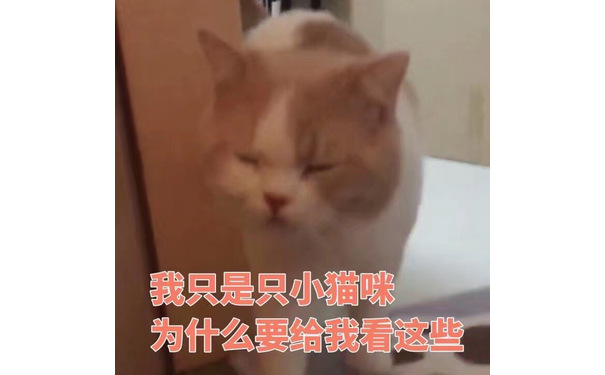 我只是只小猫咪，为什么要给我看这些