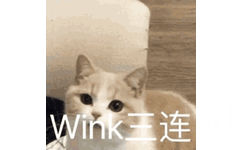 猫咪 wink 三连