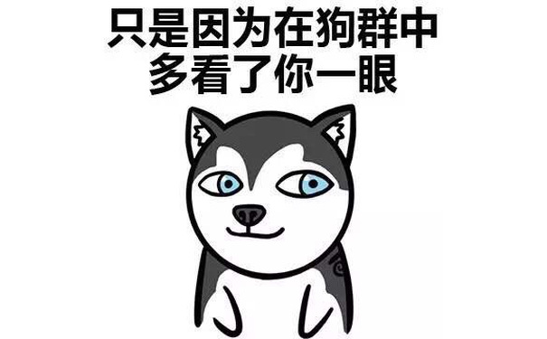 只是因为在狗群中多看了你一眼 - 各种dog表情