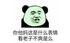 你他妈这是什么表情看老子不爽是么 - 熊猫头群聊装逼表情包 ​