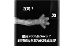 在吗借我2000买 Gucci?到时候我叔叔马化腾还给你 - 猫爪x光借钱表情包