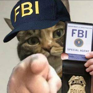 FBI 猫猫指人表情包