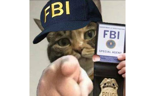 FBI 猫猫指人表情包