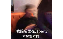 我脑袋里在开 party 不晃都不行 - 近期热门无水印表情包走一波