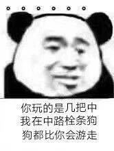 你玩的是几把中我在中路栓条狗狗都比你会游走