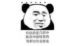 你玩的是几把中我在中路栓条狗狗都比你会游走