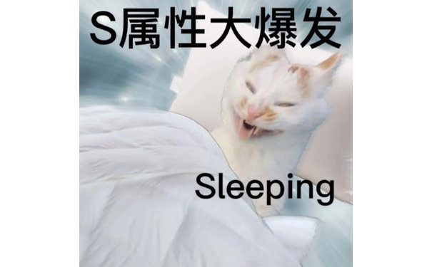 S属性大爆发Sleeping - S属性M 属性大爆发表情包