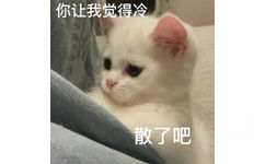 你让我觉得冷散了吧(猫咪表情包) - 猫猫狗狗表情包