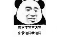 东方不亮西方亮 你爹啥样我啥样