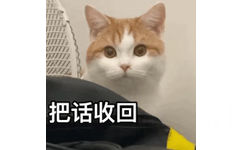 猫咪动态表情包：把话收回