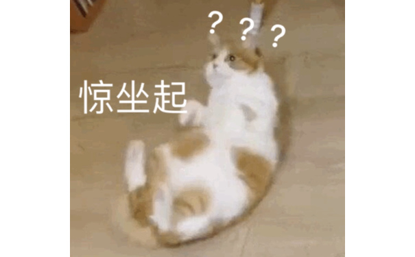 惊坐起？？？问号 - 一组橘猫表情包