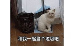 和我一起当个垃圾吧（猫咪）