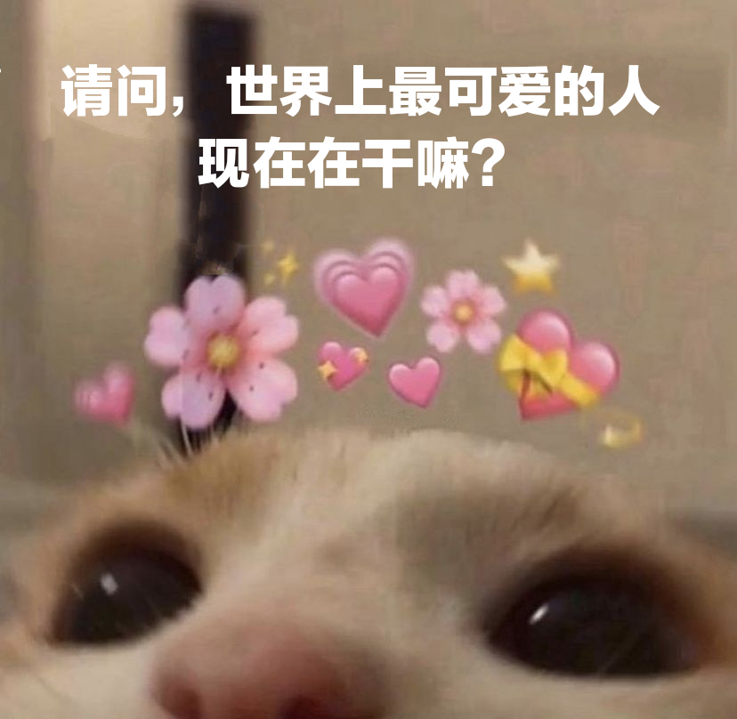 请问,世界上最可爱的人现在在干嘛? - 猫猫表情包：你今天也很可爱哦