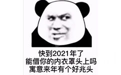 快到2021年了能借你的内衣罩头上吗寓意来年有个好兆头(熊猫头表情包)