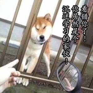 看错你了！你居然是个沉迷学习的家伙！ - 做个爱学习的 doge