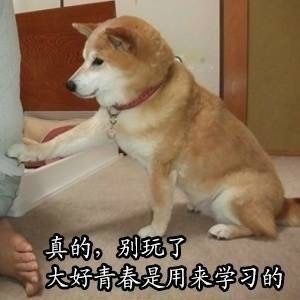 真的，别玩了！大好青春是用来学习的 - 做个爱学习的 doge