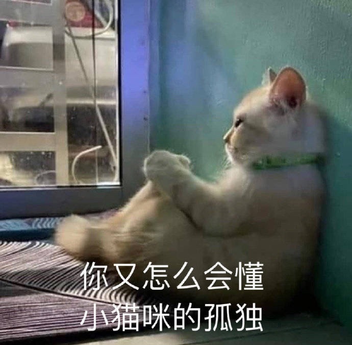 你又怎么会懂小猫咪的孤独 - 猫猫表情包 ​