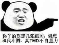 你丫的盗那几张破图，就想和我斗图，真 TMD 不自量力