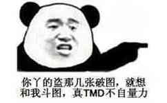 你丫的盗那几张破图，就想和我斗图，真 TMD 不自量力