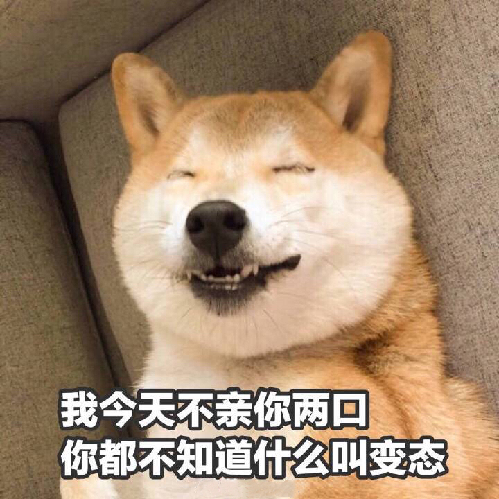 doge狗子：我今天不亲你两口，你都不知道什么叫变态