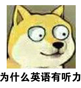 为什么英语有听力 - 大眼doge