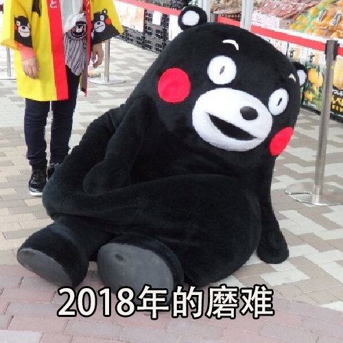 2018年的磨难 - 元气满满地迎接2019年