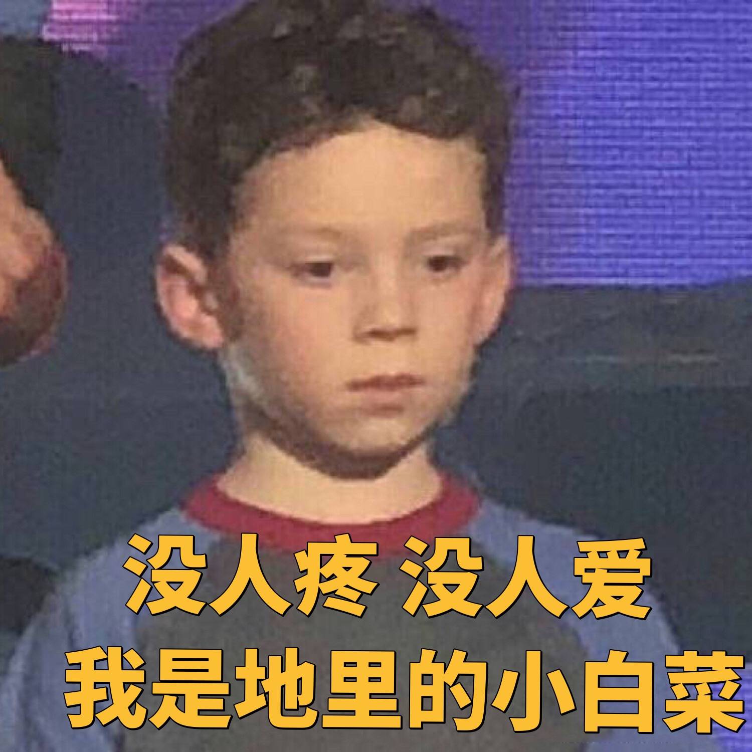 没人疼没人我是地里的小白菜(假笑男孩Gavin，出名好累)