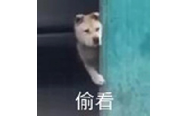 狗子偷看