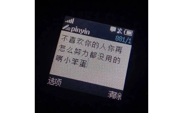 不喜欢你的人你再怎么努力都没用的小笨蛋