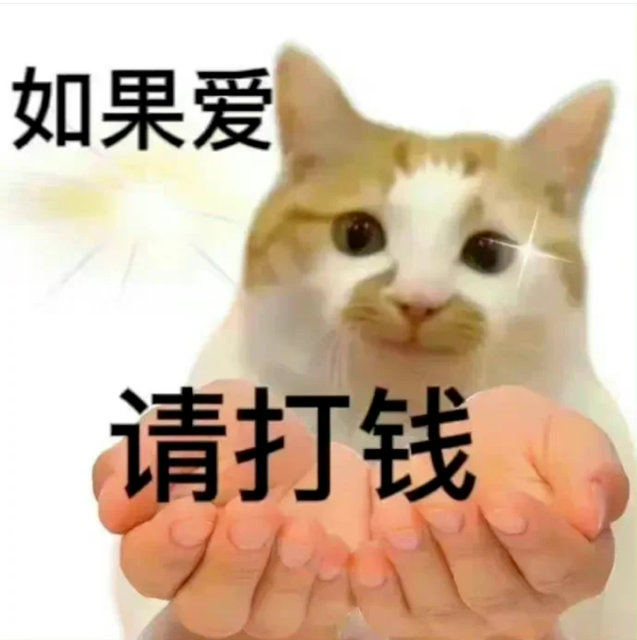 如果爱请打钱(猫咪表情包)