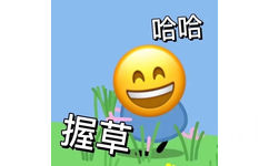 哈哈握草