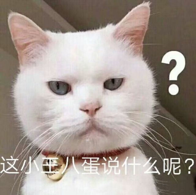 ?这小八蛋说什么呢?(猫咪表情包)