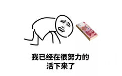 我已经在很努力的活下来了 - 工资是什么东西（金馆长）