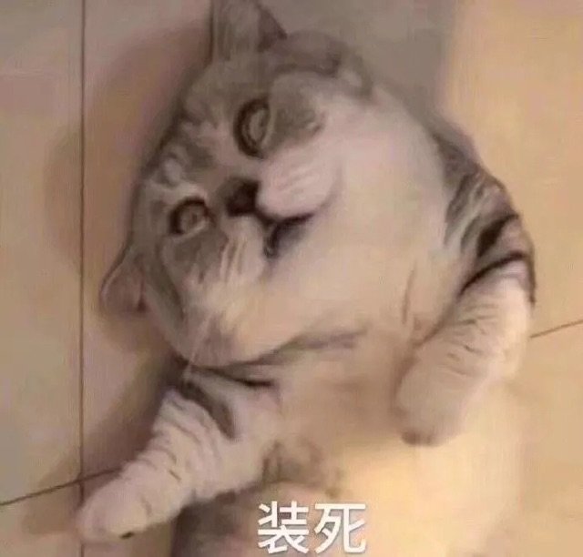 装死(猫咪表情包)