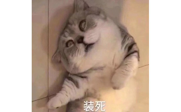 装死(猫咪表情包)