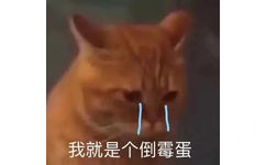 我就是个倒霉蛋(猫猫表情包)