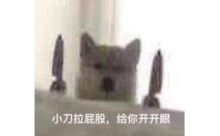 小刀拉屁股,给你开开眼