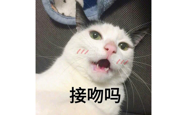 接吻吗 - 一组超级萌的猫咪萌宠表情包