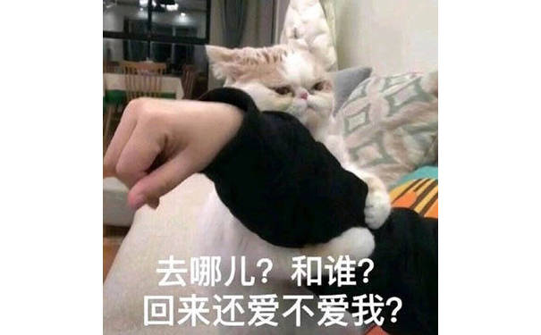 去哪儿？和谁？回来还爱不爱我？