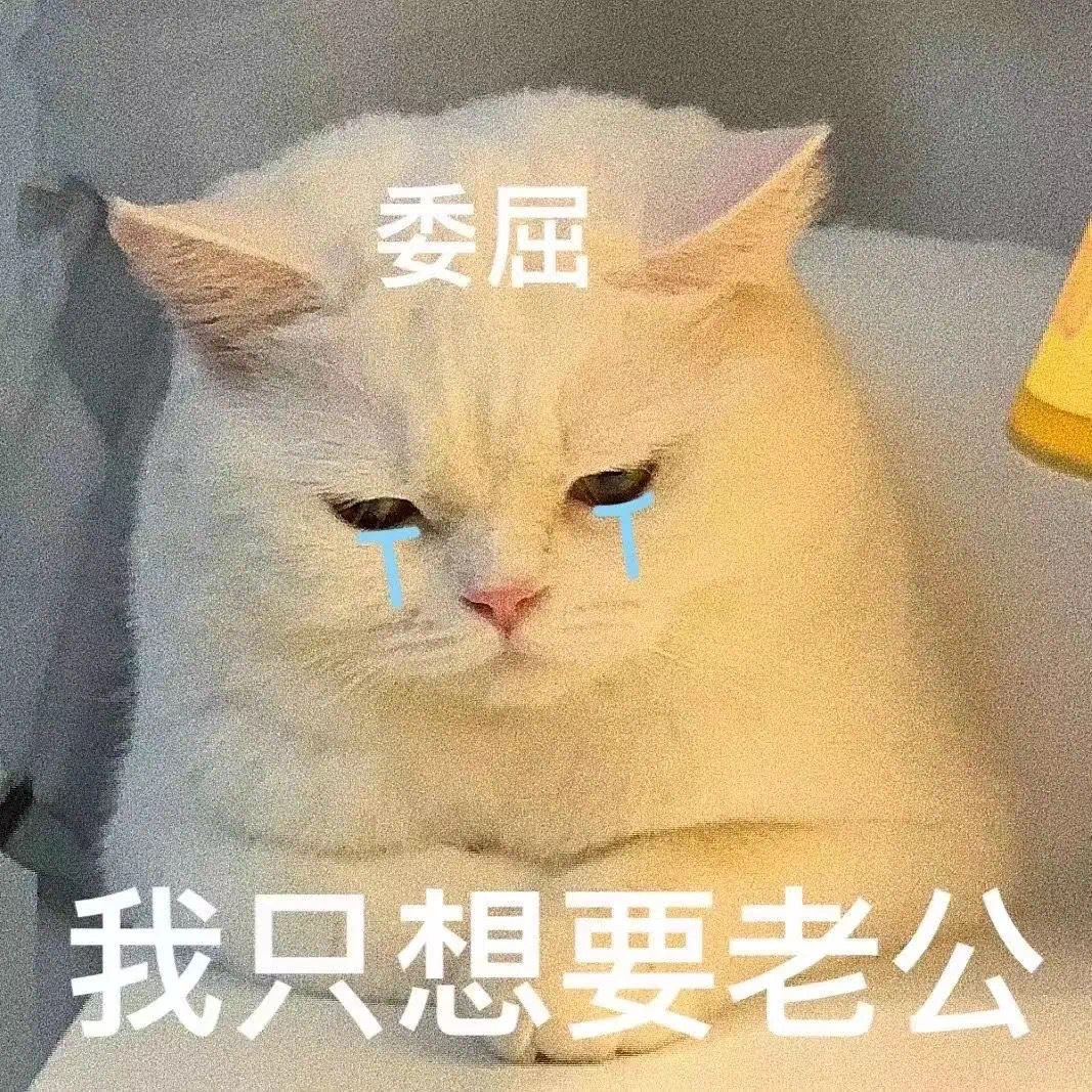 委屈我只想要老公(猫猫表情包)