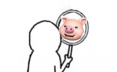照镜子，猪猪