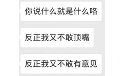 你说什么就是什么咯反正我又不敢顶嘴反正我又不敢有意见