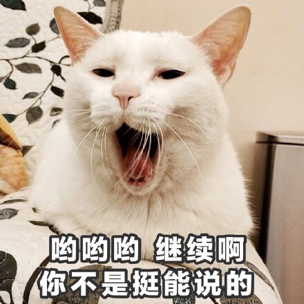 哟哟哟继续啊你不是挺能说的 - 一组萌萌的猫咪表情包  吸猫(=^o^=) ​