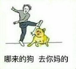 哪来的狗去你妈的