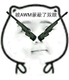 被AWM蒙蔽了双眼 - 你被什么蒙蔽了双眼？ ​