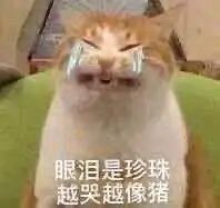 眼泪是珍珠越哭越像猪