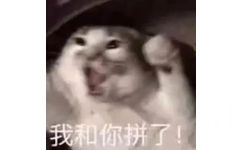 我和你拼了!(猫猫表情包)