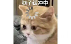 脑子缓冲中(猫猫表情包)