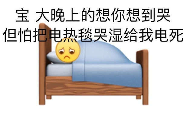 宝大晚上的想你想到哭但怕把电热毯哭湿给我电死