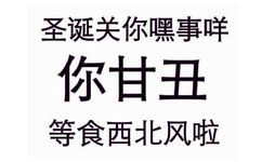 圣诞关你嘿事咩，你甘丑，等食西北风啦 - 金馆长和你们说早安